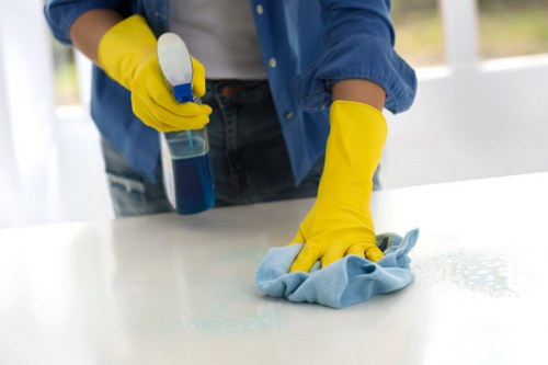 Deep carpet cleaning in an Islington home interior