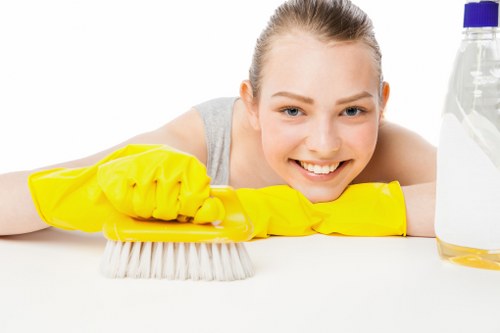 Rug cleaning process for residential and commercial properties in Islington