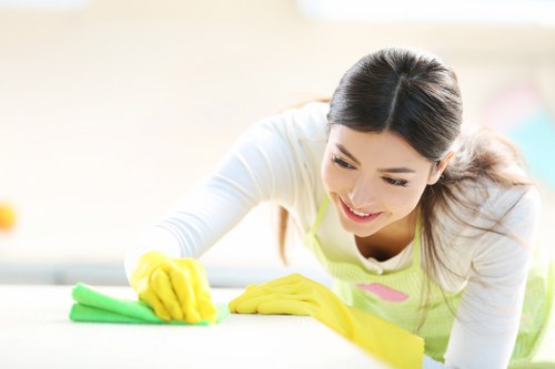 Professional upholstery cleaning equipment used on a sofa