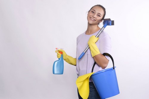 Kitchen and bathroom routine cleaning in a typical Islington flat