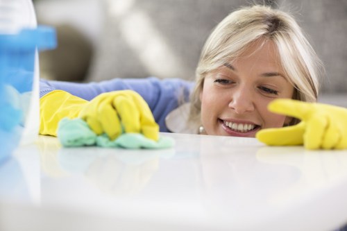 Domestic one-off cleaning service for Islington residence