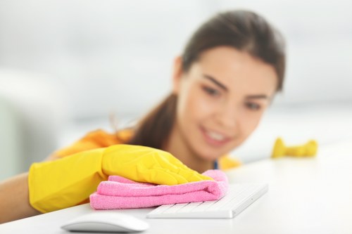 Thorough dusting and floor cleaning in a North London home