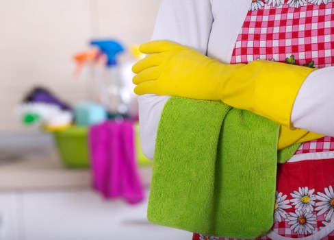 Professional cleaning tools prepared for local stain treatment