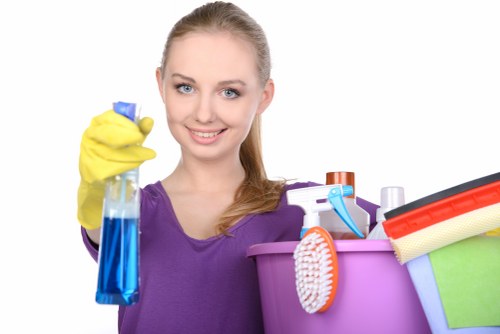Local cleaner carrying out a one-off deep clean in an Islington bathroom