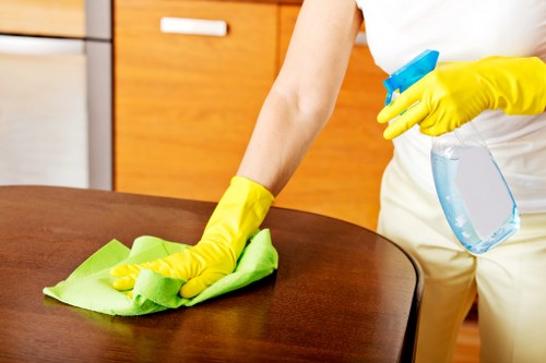 Domestic cleaning service for a period home near Upper Street in Islington